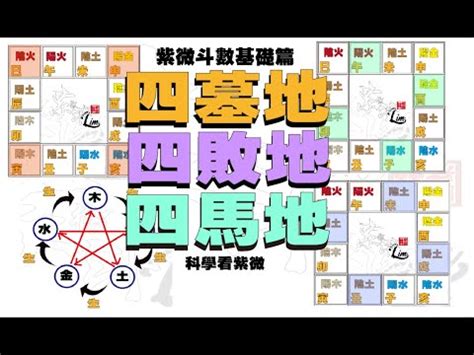 四墓庫|紫微斗數講堂——命宮落四墓之地